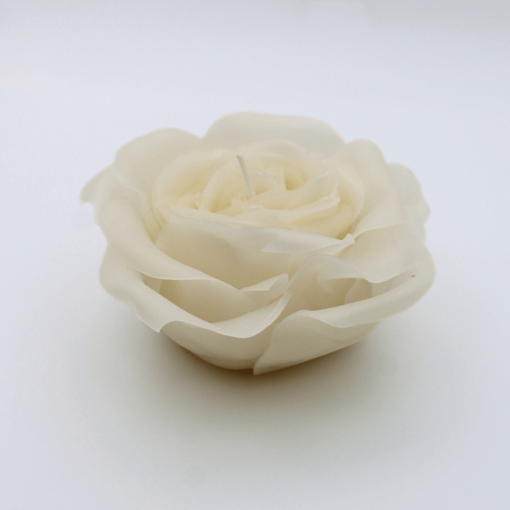 White rose
