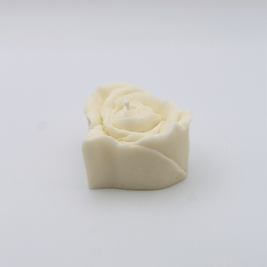 White heart rose