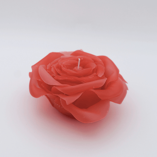 Red rose