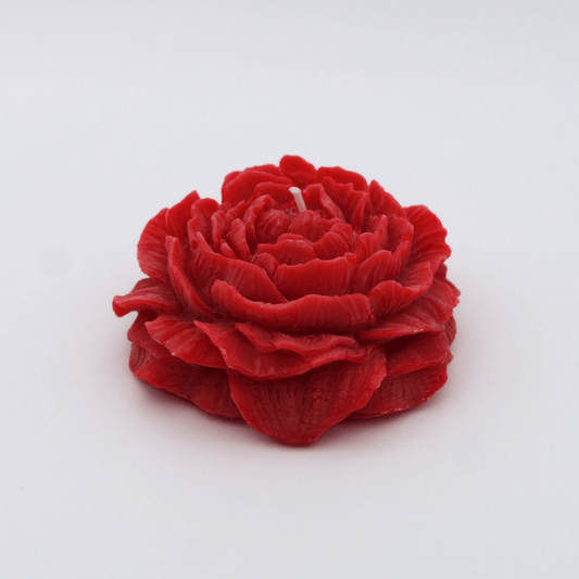 Red peony