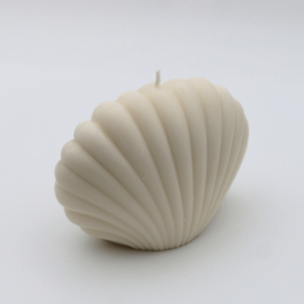 Sea shell